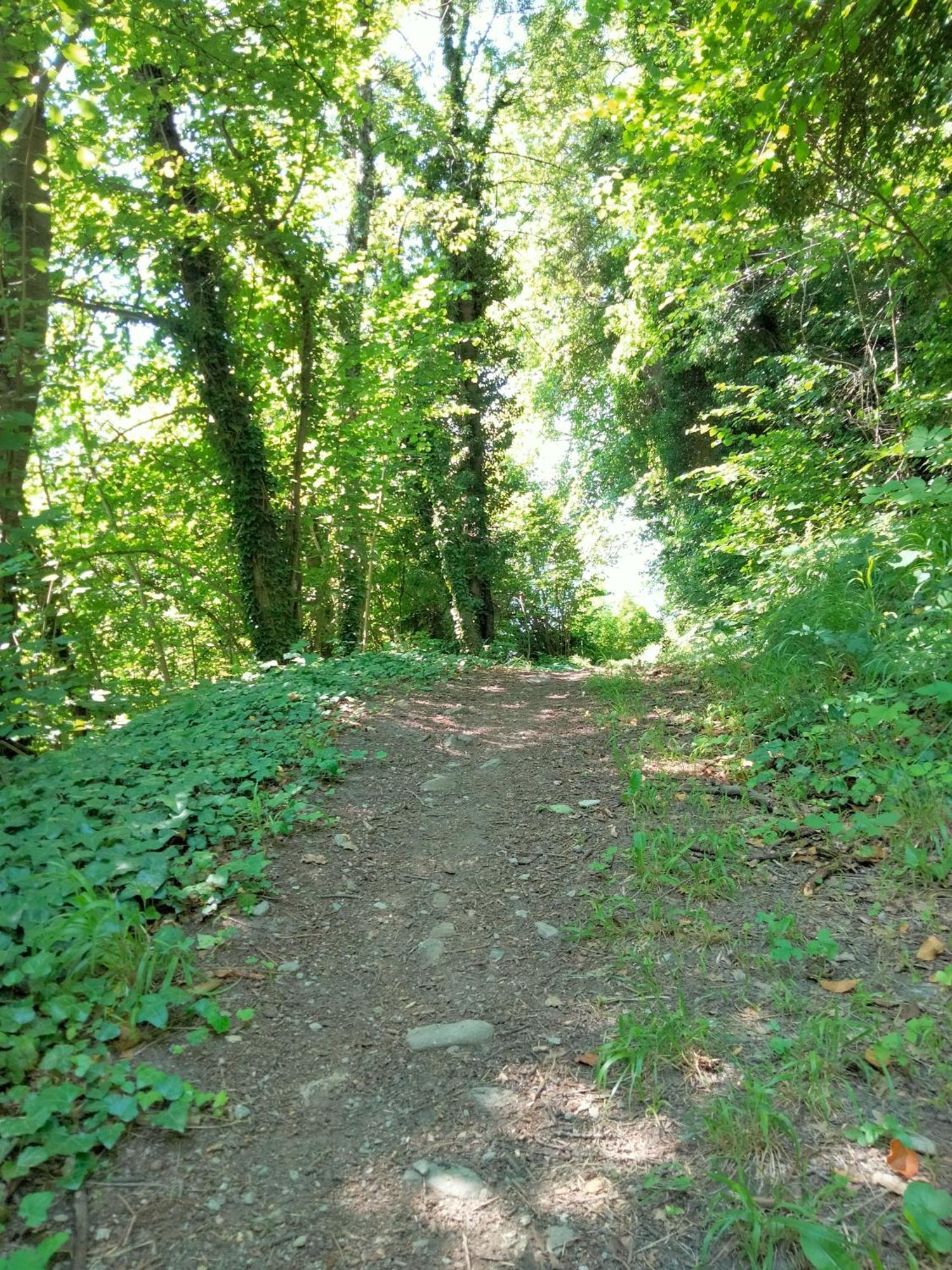 Grand Rive Saint-Pierre Quarto foto